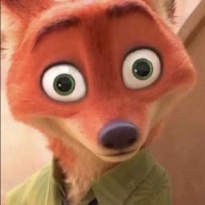 Meet your Posher, Savannah